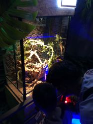 -未来动物城动物主题公园(大悦城店)