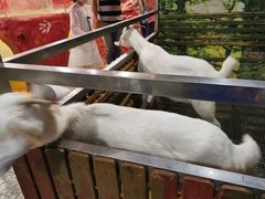 -上海昆虫博物馆