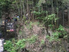 -藏龙百瀑风景区