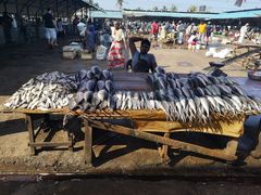 -尼甘布海鲜市场