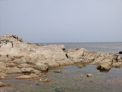 -海滨浴场