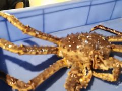 -蟹后Crabber(水悦城店)