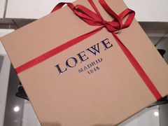 -LOEWE罗意威(万象城店)