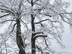 -安吉龙王山风景区