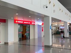 -东营胜利机场