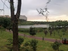 -丁香湖公园