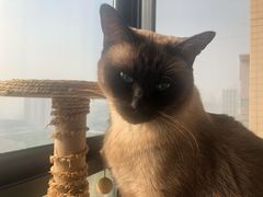 -御泉湾养生汤泉