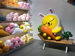 -KAKAO FRIENDS(弘大店)