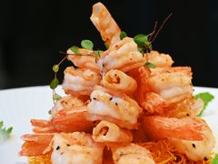-四世同堂·京菜·烤鸭(双井店)