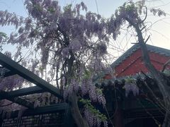 -北京市劳动人民文化宫(太庙)