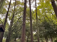-上海醉白池公园