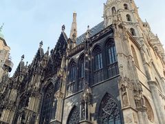 -斯蒂芬主教座堂(Stephansdom)