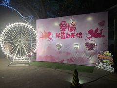 -枫花园汽车电影院(朝阳公园店)