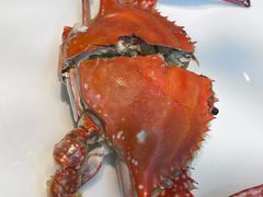 -古京·臻致料理(月湖店)