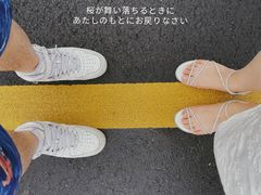 -江南天池