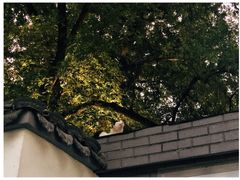 -西湖天地