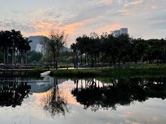 -四海公园(南山区)