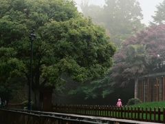 -莫干山风景区