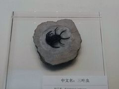 -天津自然博物馆