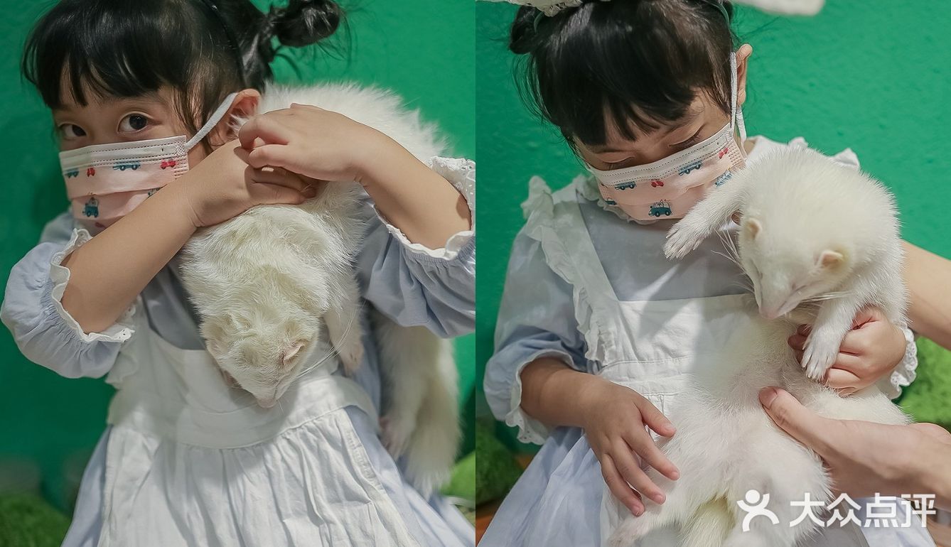 遇见萌宠，邂逅快乐