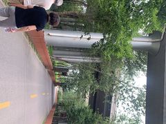 -东郊湿地公园
