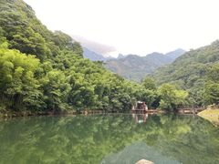 -祁门牯牛降观音堂风景区