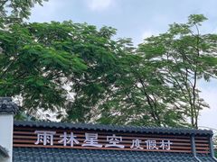 -南丹山森林王国