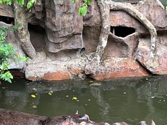 -长鹿旅游休博园
