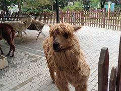 -西安秦岭野生动物园