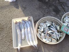 -海天市场(淮河路店)