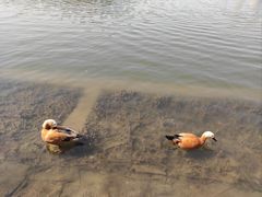 -南翠屏公园