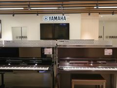 -雅马哈乐器专卖店(广州旗舰店)