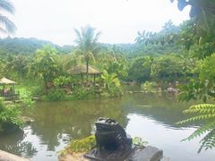 -呀诺达热带雨林