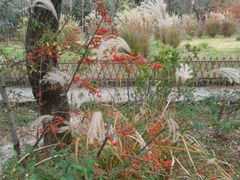 android_upload_pic-新江湾城公园