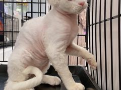 -凯德广场(武胜路店)