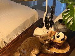 -宜家家居(高新商场店)