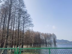 -四明湖