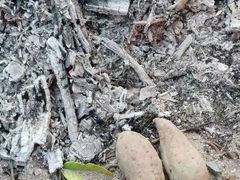 -海底捞火锅(老城根店)