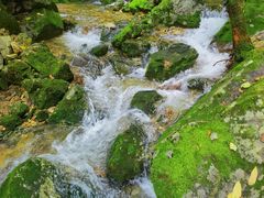 -本溪汤沟绿石谷森林公园