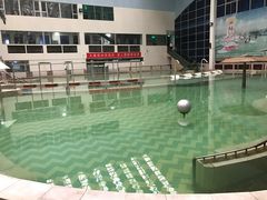 -龙脉温泉室内游泳馆