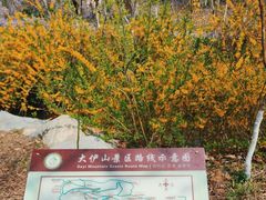 -大伊山景区