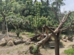 -宁波野生动物园