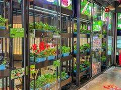 -番食园鲜食火锅(高新店)