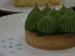 抹茶挞-猫里有甜