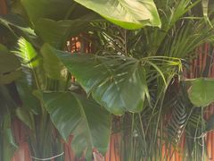 -云阿蛮云南生烫牛肉米线(奉贤路店)