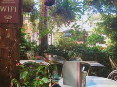 -The Grounds of Alexandria