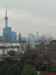 -上海首尔丽格医疗美容医院