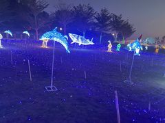 -三亚红色娘子军演艺公园景区