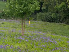 -白鹭湾湿地公园