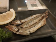 -科尔海悦酒店樱之河日本料理(清河东路店)